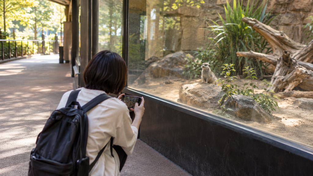 ガラスからスマートフォンを離して動物を撮影する来園者